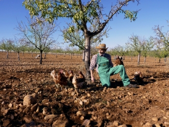 Aviman Bienestar Animal