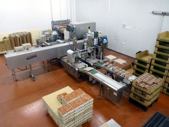 Seguridad Alimentaria Aviman