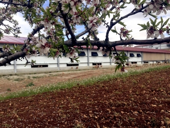 Aviman - Responsabilidad Ambiental