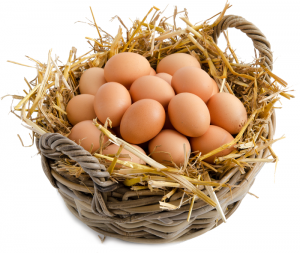 Huevos de Gallinas Camperas Aviman